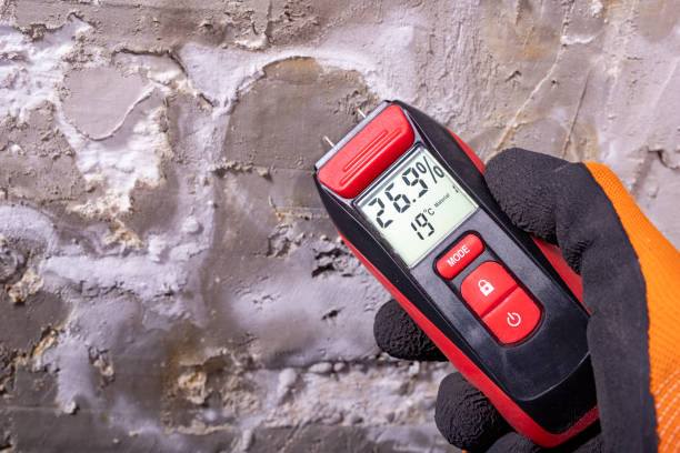 Best Emergency Mold Removal  in New Hope, OR