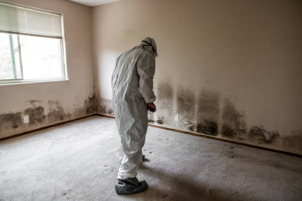 Best Crawl Space Mold Removal  in New Hope, OR